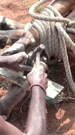 today morning my appa work ⚒️ the blacksmith work ⚒️