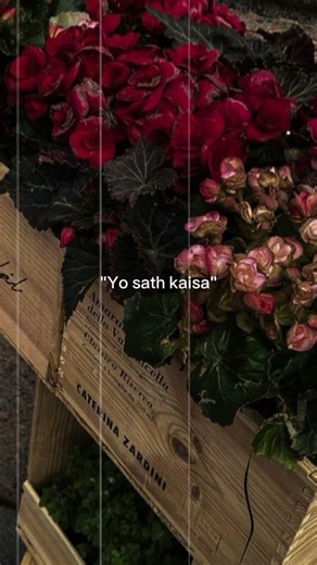 'Ju phir se hojaye woh pyar kesa'❤️‍🩹🥀shayari #whatsappstatus #lovestatus #youtubeshorts #shorts