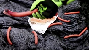Scientists Cook Hot Dogs on Lava from Iceland Volcano