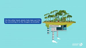 1.1K views · 54 reactions | The Malaysia Aviation Group (MAG) Sustainability Blueprint is our commitment to ensuring net-zero carbon emissions by 2050. We will be proactively taking steps to reduce our contribution towards climate change by limiting our carbon footprint. Only by offsetting our unavoidable carbon emissions with natural carbon capture practices can we aim to achieve the natural balance that can help us combat climate change. | Malaysia Airlines | Facebook