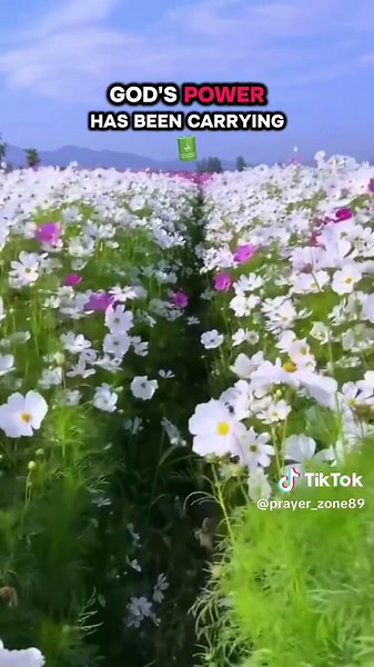 If you need prayer today, write your prayer request in the comments. I read them and pray for you. You are not alone. 🙏 Let’s build a community of faith and encouragement here. If you enjoy this content, please like the video, share it with someone who may need prayer, and subscribe for more uplifting messages. God bless everyone here. ❤️