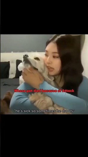 pov:you hate on a girl who..💔#Blackpink#Jennie#Jisoo#Rosé#Lisa#Shorts