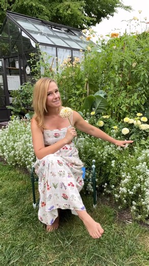 Erin Berkyto 🌸 Seasonal Living on Instagram: "If you’re planning a vegetable garden, don’t forget to include alyssum 🌸 This sweet, low-growing flower does way more than just look cute. Alyssum attracts pollinators and beneficial insects, helping your garden thrive without chemicals. It has a light, honey-like scent and adds soft texture wherever it grows. I love planting it along the edges of my raised beds where it tumbles over the sides and softens the look of the garden. It’s one of my go-t