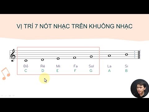LESSON 4: POSITION OF 7 NOTES ON THE MUSIC STAFF [Basic music theory & practice course]