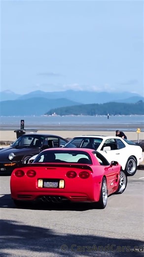 Red Corvette C5 ASMR #corvette #chevrolet #shorts