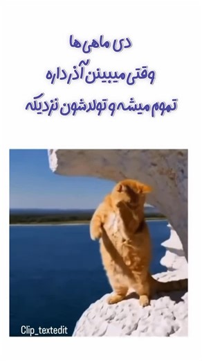 ‎لادن ویدیوگرافی | موبایلگرافی / ادیت / کلیپ / موزیک‎ on Instagram‎: "پیشاپیش تولد دی ماهی های عزیز مبارک #دی #دیماه #دی_ماهی #زمستون #تولدت_مبارک #تولد_دی_ماهی"‎