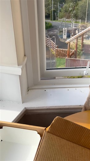 This is our gaff now mr security | Fat ash explores