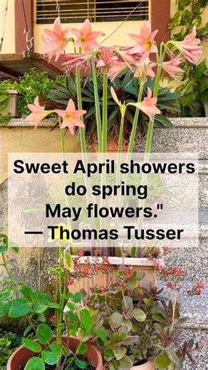 April Showers #trending