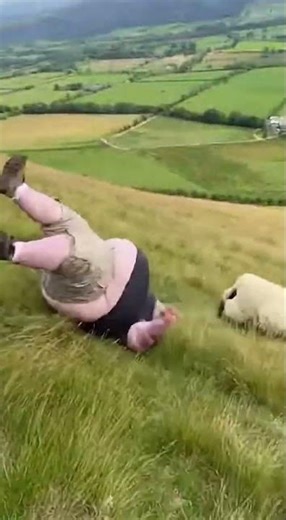 The man was attacked by a sheep🤯#funny #funnyusa #funnyshorts #tiktokusa