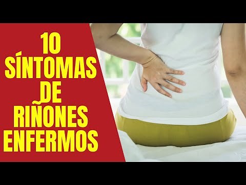10 Síntomas de riñones enfermos | ERC