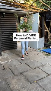 34K views · 834 reactions | Take FREE plants now… Now is the time...