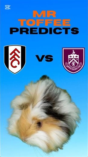Fulham vs Burnley | Premier League Predictions (Guinea Pig Pick!) #football #soccer