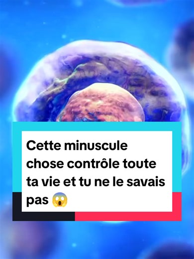 🧬 Des milliards de cellules travaillent chaque seconde pour te garder en vie… et pourtant, elles sont invisibles à l’œil nu 👀 La cellule est la véritable usine du corps humain : énergie, respiration, réparation… tout commence ici ⚡🔬 Ton corps est un univers miniature fascinant #svt #fyp #Biologie #health #pourtoi