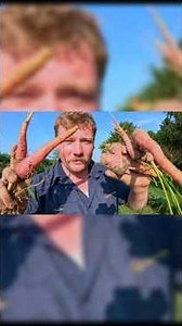 You DON'T Have to Thin Carrots?! 🥕 | Here's What Happened in My Garden