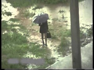 rain puddle