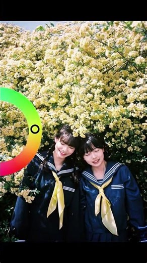 Unlock the Rainbow: Explore the Color Wheel's Magic