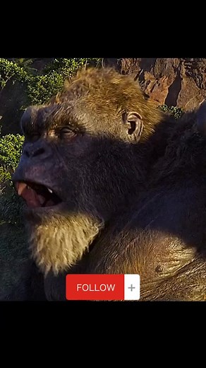 #kingkong