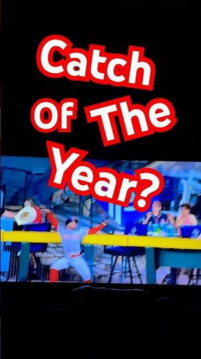 Catch Of The Year Or Decade? #baseball #follies #amazing