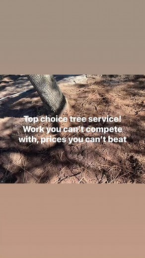 Brett Phillips on Reels | Facebook