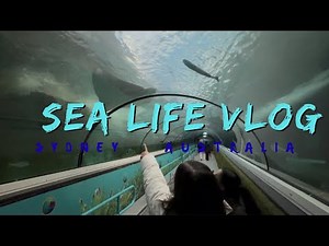 Underwater Wonders at SEA LIFE Sydney 🌊 | Family-Friendly Aquarium Adventure || Darling Harbour Tour