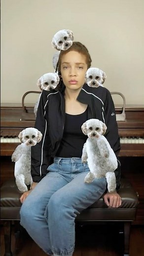 CAN I PET THAT DOG?