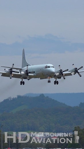 47K views · 6.8K reactions | ✈️  SMOKEY ex-RAAF Lockheed P-3 Orion Landing at Wollongong Airport in Australia   Follow for more aviation videos from around the world  @harsaviationmuseum @wollongongairport #plane #planespotting #aviationlovers #aviation #lockheed #airshow #avgeek #aviationdaily | HD Melbourne Aviation | Facebook
