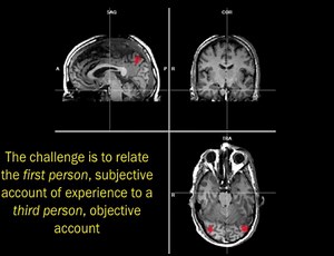 1.1 The Puzzle of Consciousness