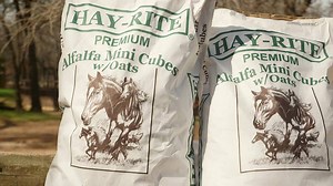 Renowned clinician Craig Cameron explores feeding cubes to horses with Jim Wiley from Hay-Rite. | Cutting Horse Training Online