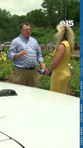 Only 23% of Alabama voters turned out after PAC linked to gambling floods races - NBC 15