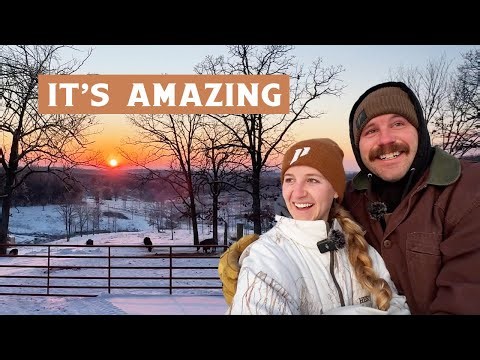 Are Highland and Dexter Cattle Built for Winter? Ranching Truths