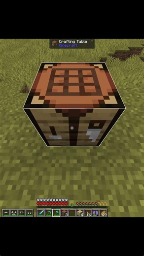 Ey bro craft mal ein totem #minecraft #funny #viral