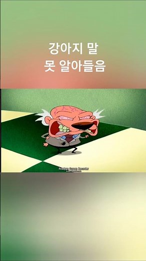 연기천재 강아지 #겁쟁이 강아지 커리지