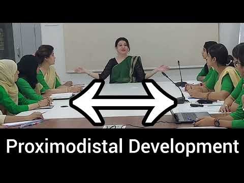 Cephalocaudal and Proximidistal Principles of Growth & Development #EducationalPsychology #CDP #NET