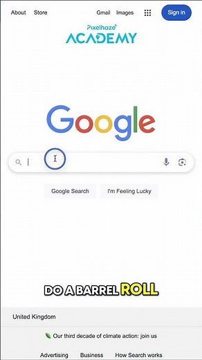 Google's Secret Barrel Roll Trick!