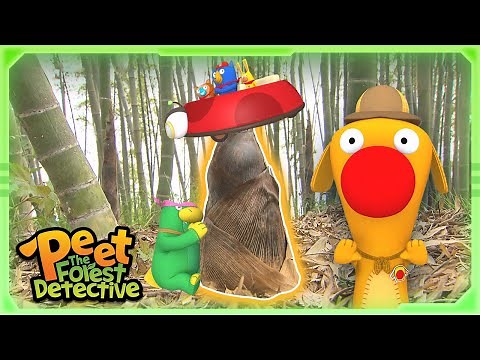 Bendy Bamboos In the Forest 🎋❓ | Full Episode | Cartoons for Kids | Peet The Forest Detective