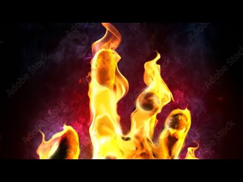 Bot vs bot who win? (i used vpn to not get banned)