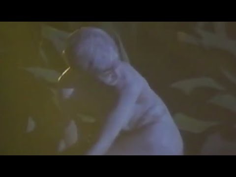 Gotcha (Australian short film 1991)