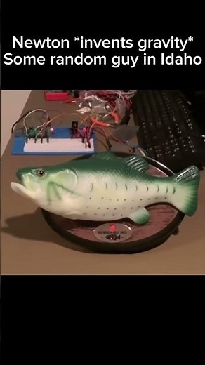 fish singing funky town 🎶🎵 #memes #funny #viral #singing #fish #shorts