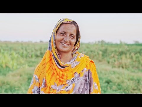 Transform our food systems for a sustainable world without hunger