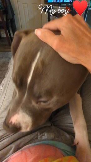 I think he loves me lol ❤️ | Brenda J Scott