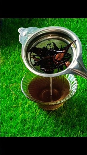 Homemade Neem hair oil recipe for anti dandruff & fungus 👌#healthyhabits #ashortaday #trending