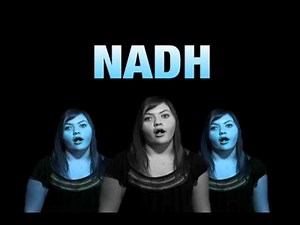 Cellular Respiration (Original Song) Music Video