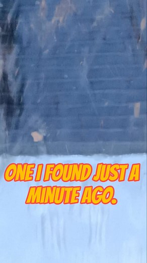 Sluicing for glacial flour gold deposits # #sluiceboxtips #SluiceBoxSetup #goldrecovery #goldrush #IowaGold #goldflakes #FindingGold #finegold #short #treasurehunting | Tim Springston