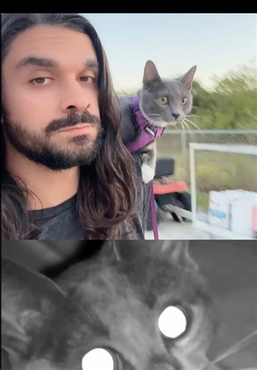 Understanding Night Vision Technology Techniques