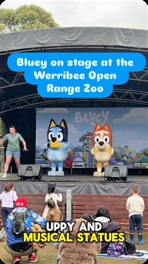 2.5K views · 35 reactions | In case you missed the BEST NEWS EVER! Bluey is on stage at Werribee Open Range Zoo daily until August 31! Head to our BIO LINK now for details or just Google ‘Mamma Knows Bluey‘ anytime! #mammaknowswest #melbourne #melbswest #localinspirationforfamilies | Mamma Knows West | Facebook