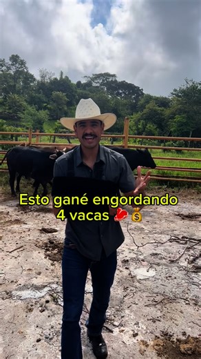 Rodo Arcadia on Instagram: "En esta ocupación te enseño este negocio, tuve algunas complicaciones como el lodo, el crecimiento compensatorio dado que venían de corral y los precios de venta, pero a seguirle dando espero te sirva 🤠🙌🏼"