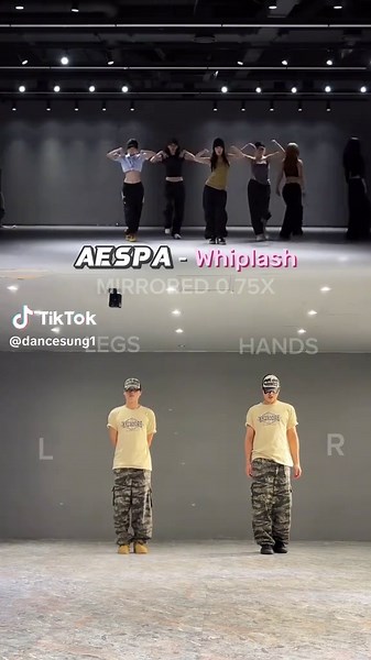 위위위 플래시~ #aespa #aespawhiplash #whiplash #에스파 #위플래시 #마이한테만추천 @aespa official @PinkBlood