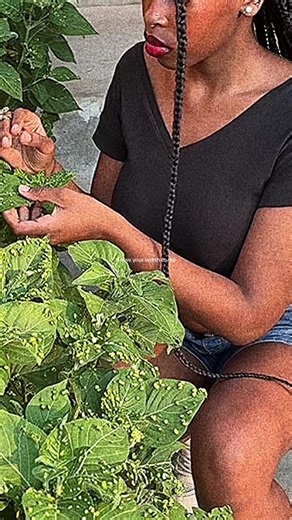 Discover Fresh Sounds from a Talented Female Producer