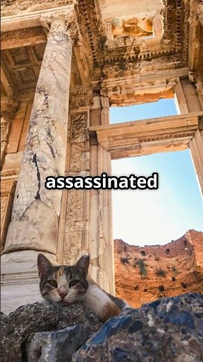 This Roman Ruin Is Now a Cat Sanctuary — And It’s Purrfectly Legal! 🐱🇮🇹