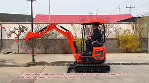 2t 2ton Hydraulic Mini Excavator Epa Engine Kubota Crawler Excavator Farm Excavator